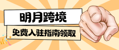 以中产阶层女性